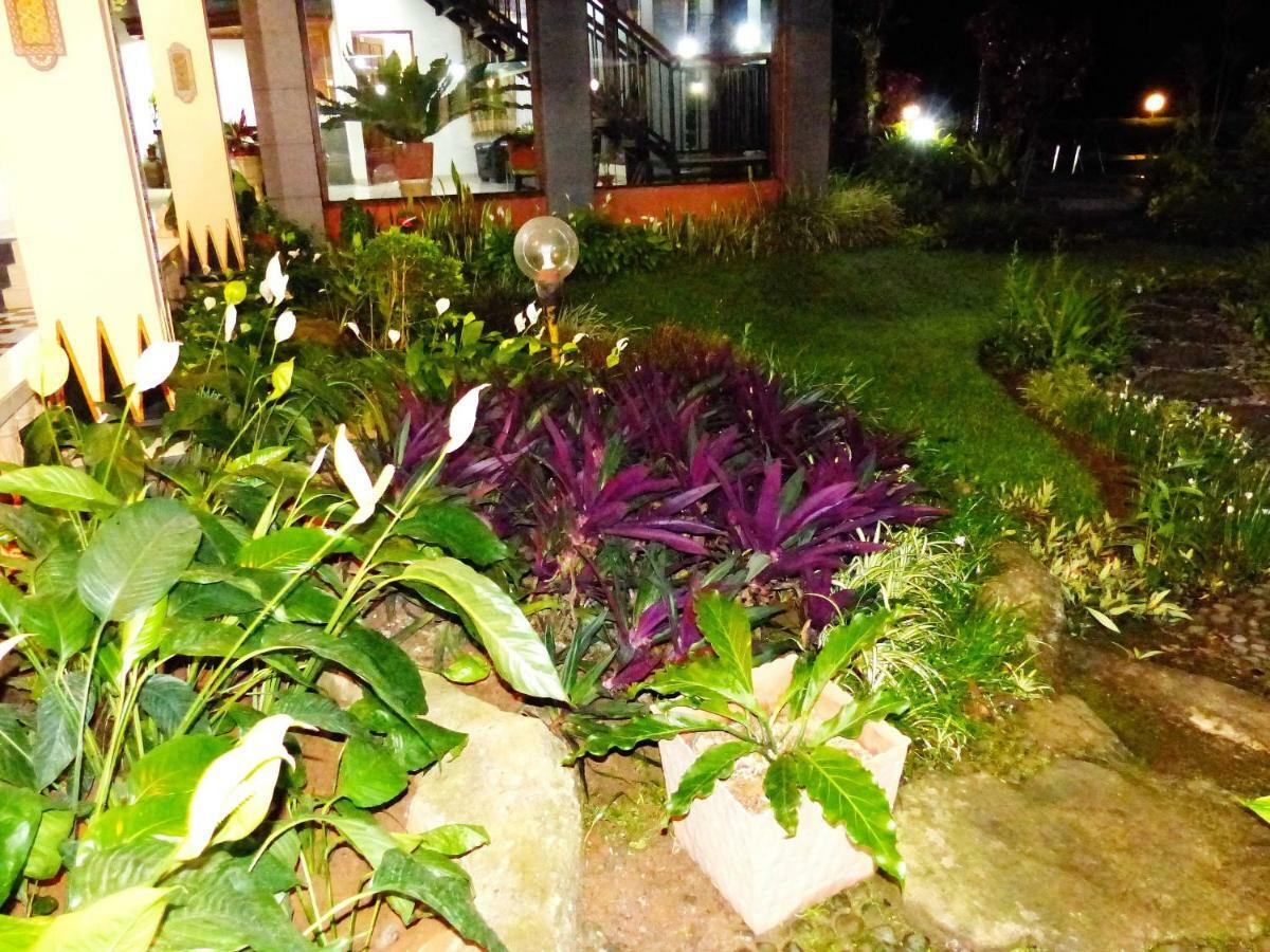 רנטפאו Toraja Torsina Hotel מראה חיצוני תמונה