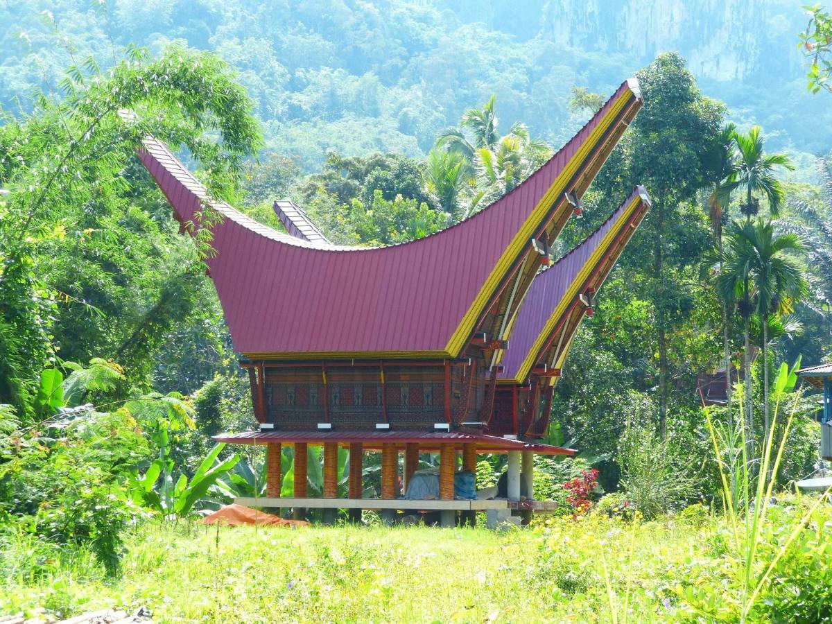 רנטפאו Toraja Torsina Hotel מראה חיצוני תמונה